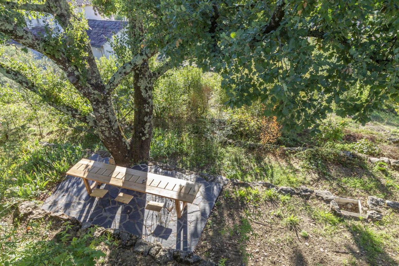 La Maison Des Chataigniers Meyrannes Экстерьер фото